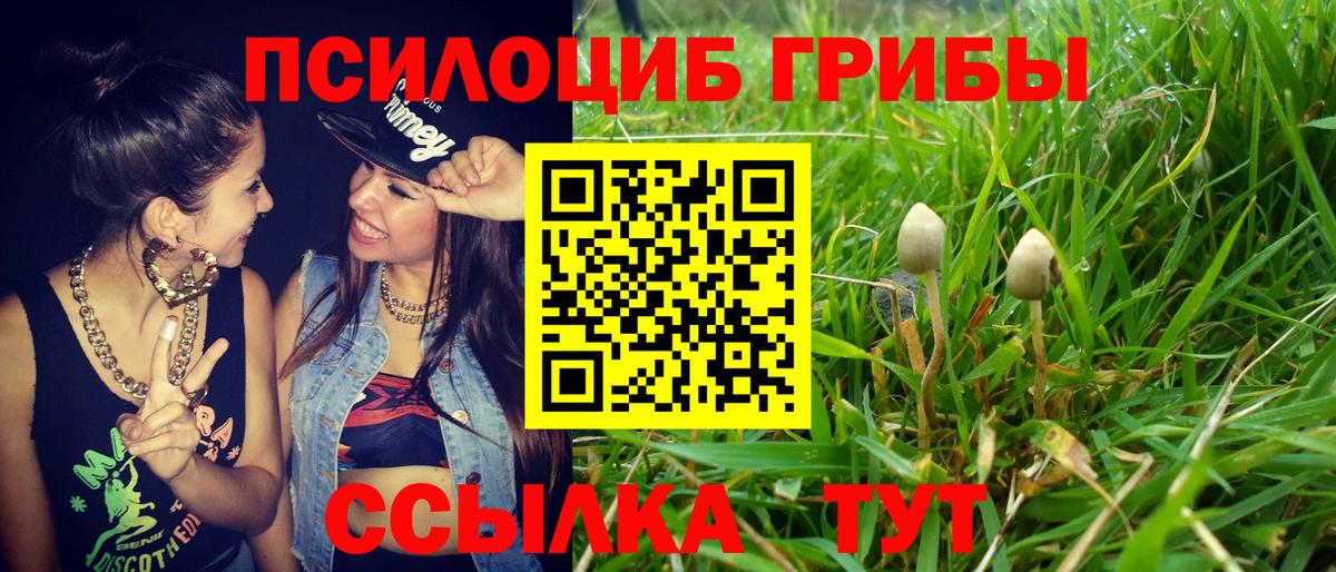 Псилоцибиновые грибы Cubensis Скопин